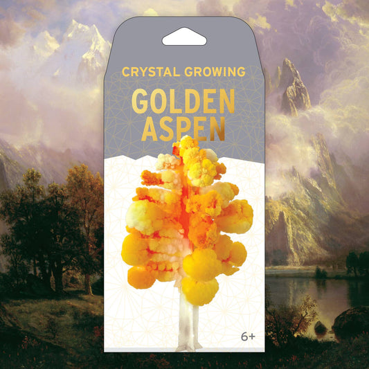 Crystal Growing Aspen |
Craft Kit Science Kit Fall Craft