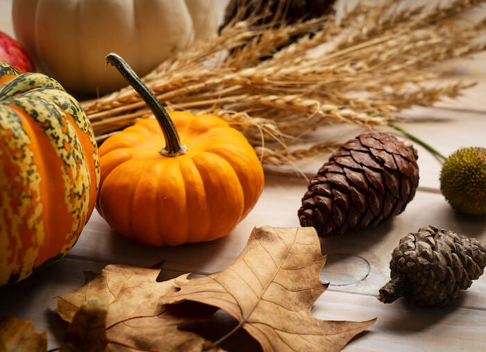 Thanksgiving/Fall Items