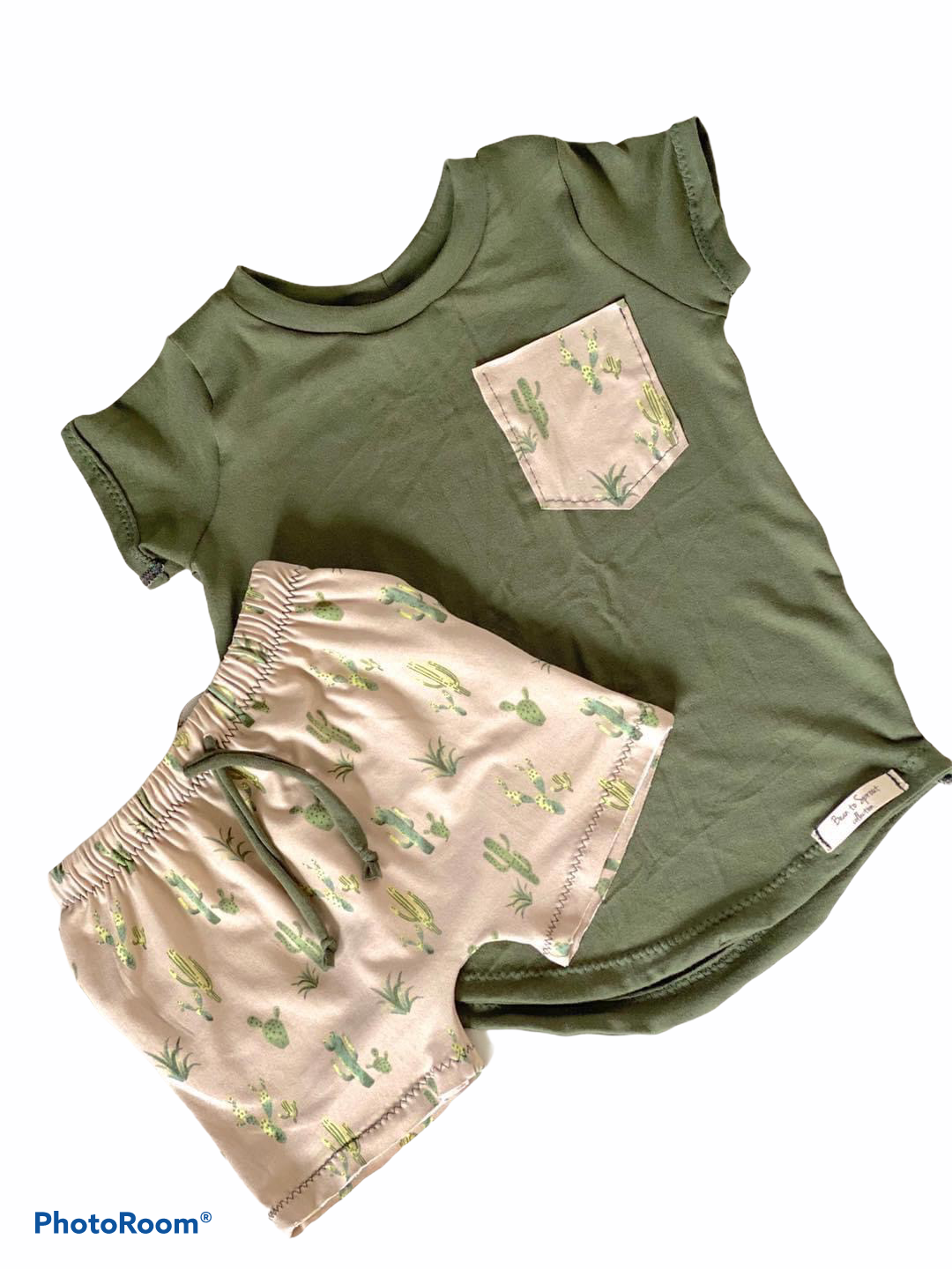 Cactus Set