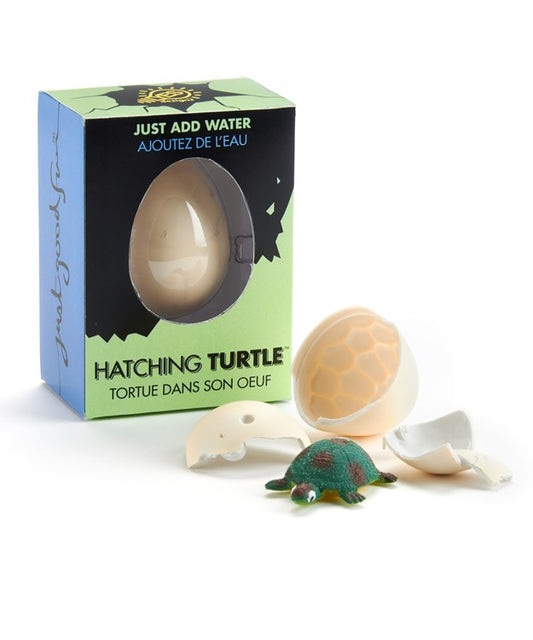 Hatch & Grow Sea Turtle