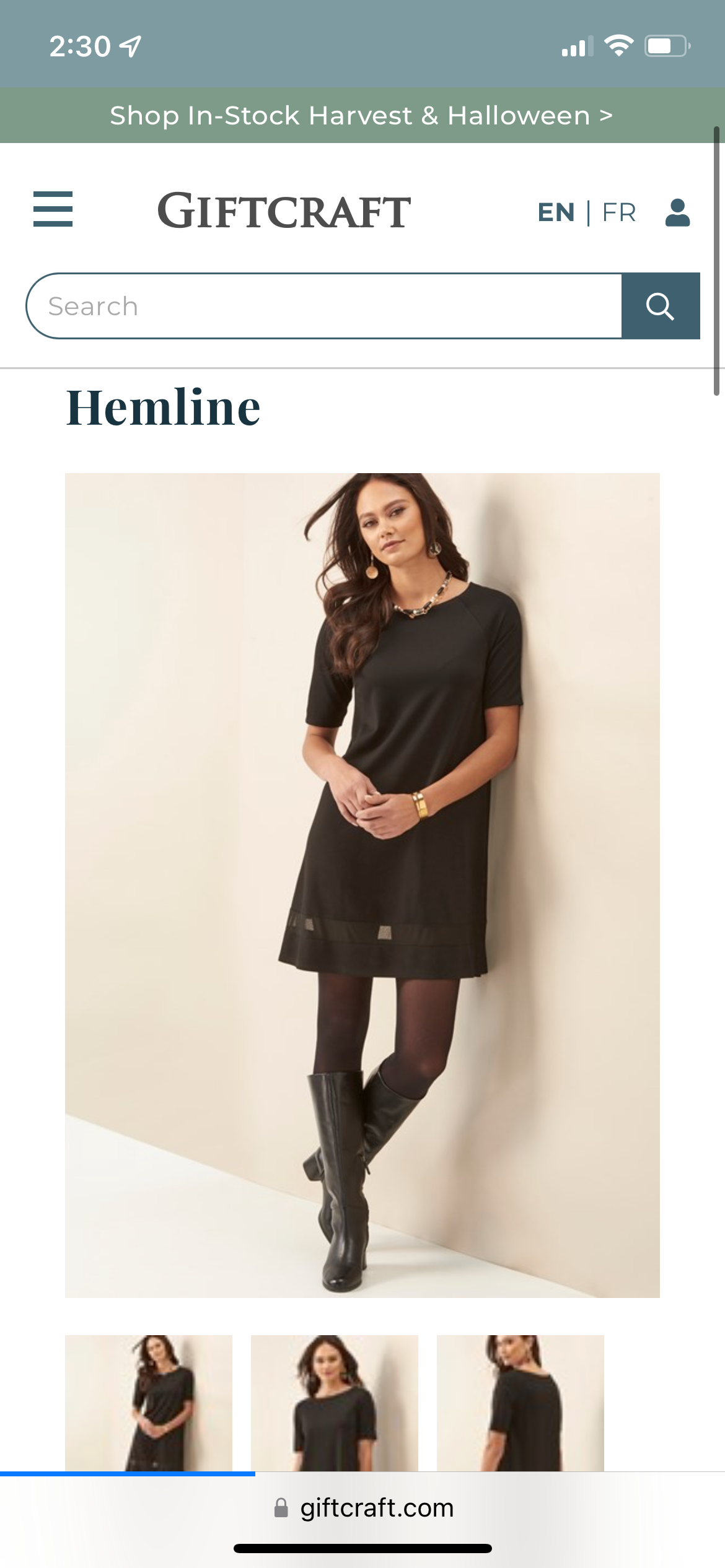 Little Black Mesh Dress
